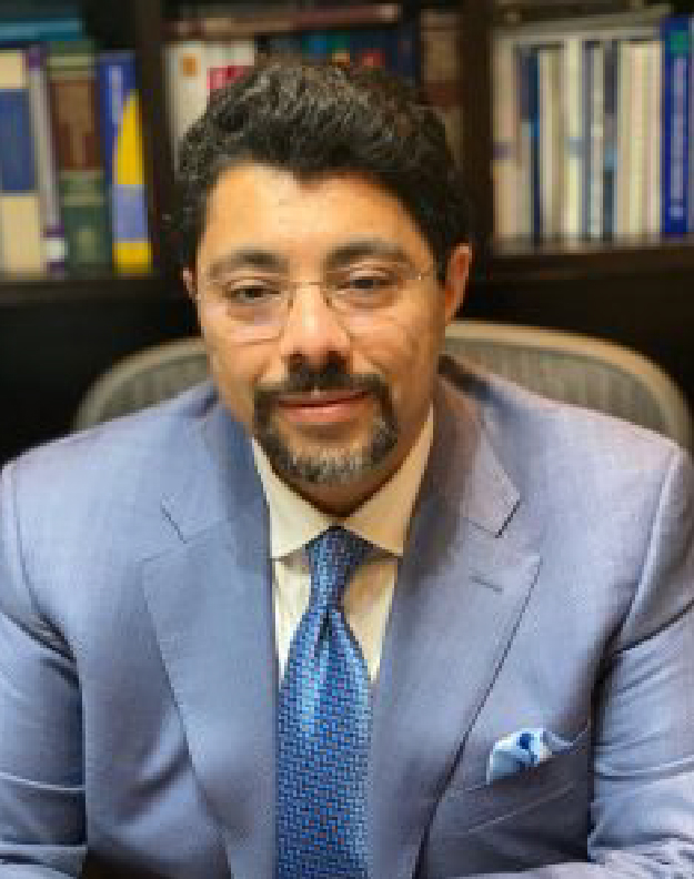 Prof. Dr Mohamed Abdel Wahab, C.Arb, FCIArb
